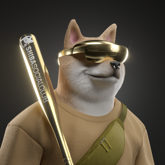 Shiba #6630