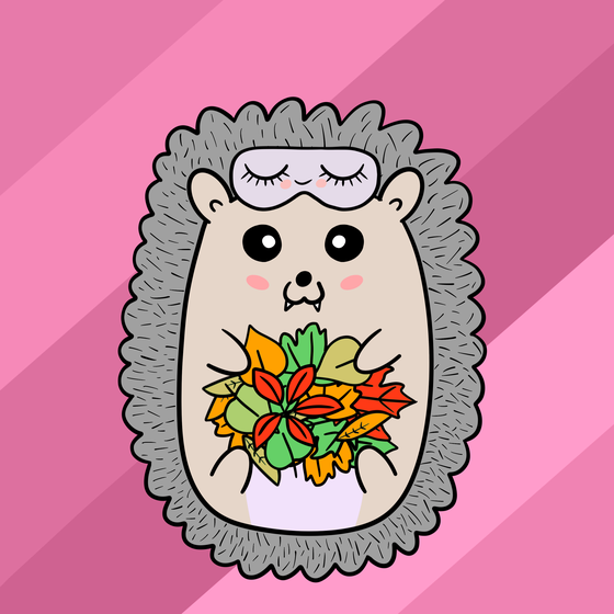 Mini Fluffy Hedgehog #34