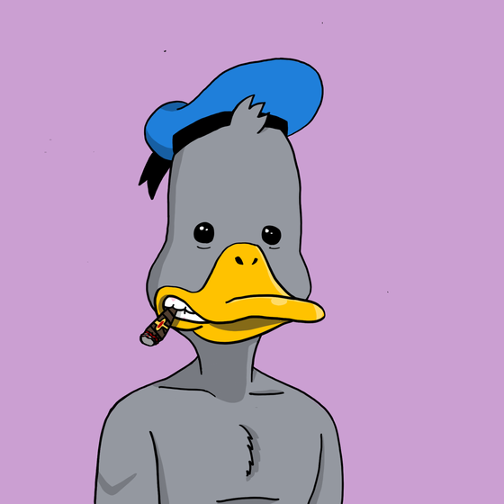 Duck #7981