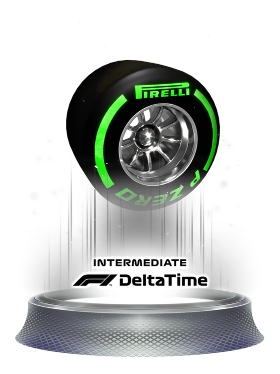 Intermediate Tyres