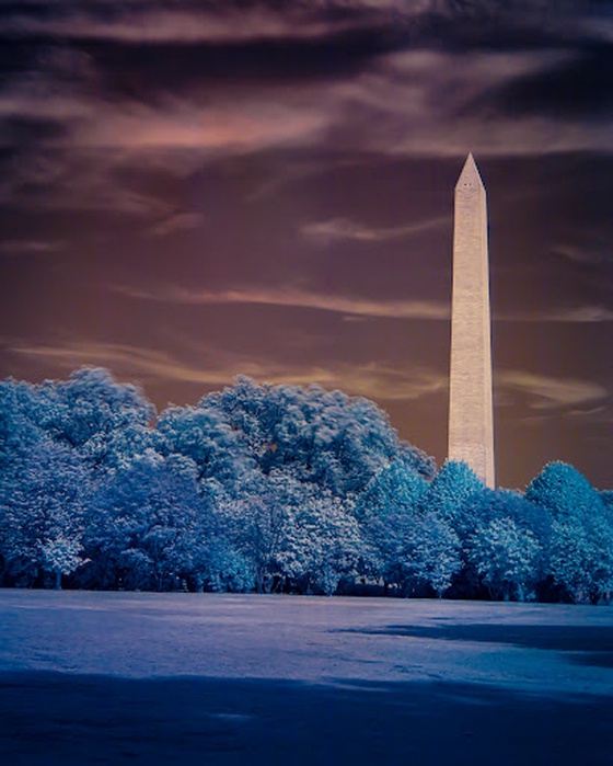 Infrared #003 - The Washington Memorial Behind the Trees