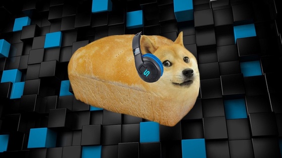 loldogeboi