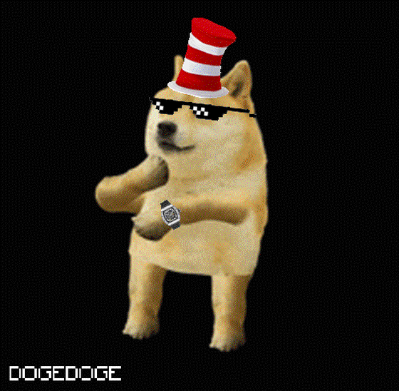 DOGEDOGE #173