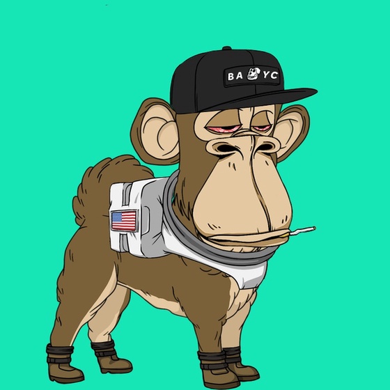 Kennel Ape #6902