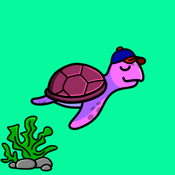 Toddler Turtle #570