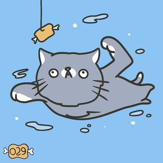 Swimming Cat