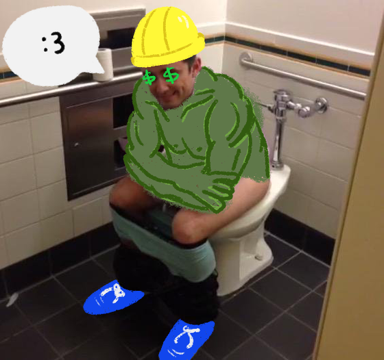 Toilet Vees  #370