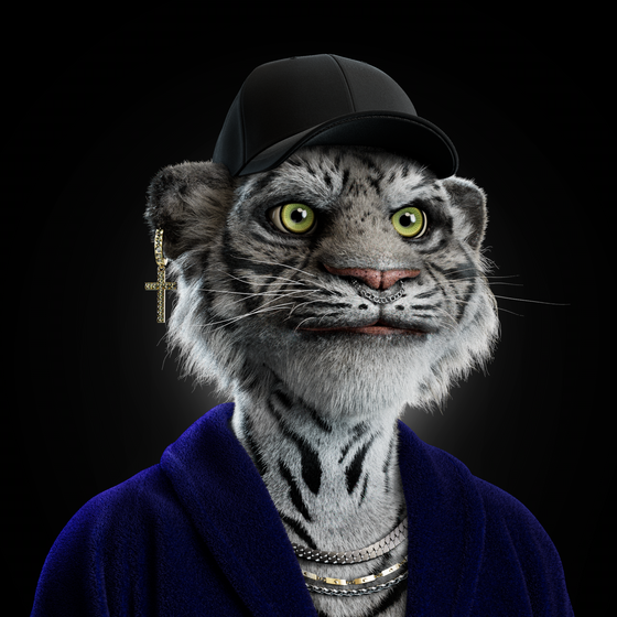 Big Cat #2603