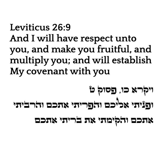 Leviticus 26:9