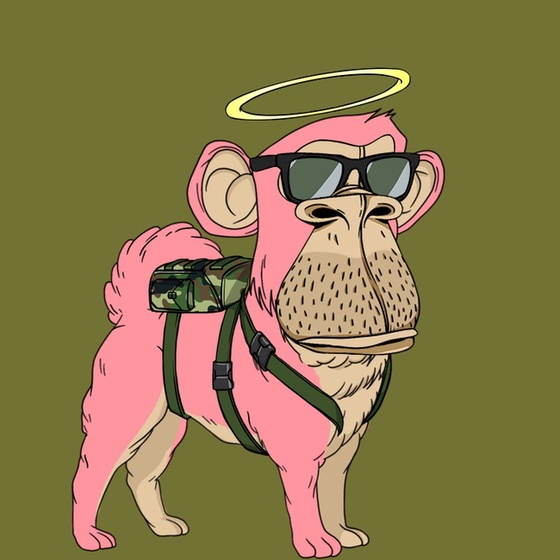 Kennel Ape #8118