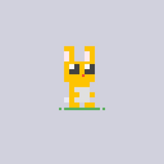 tiny rabbit #5