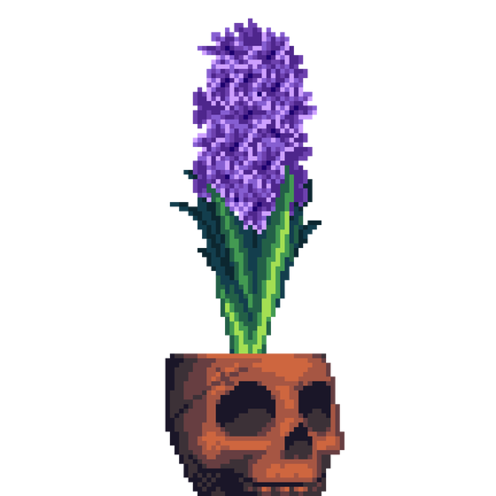 Purple Hyacinth in Clay Skull pot