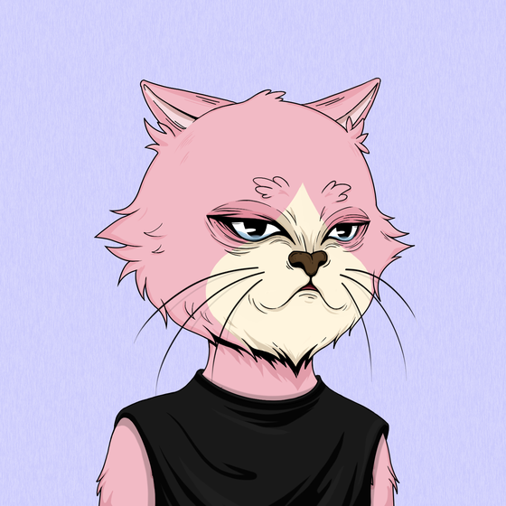 Angry Cat #2034