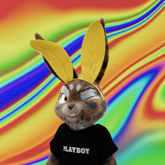 Rabbitar #6247