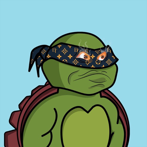 Degen Ninja Turtle #4779