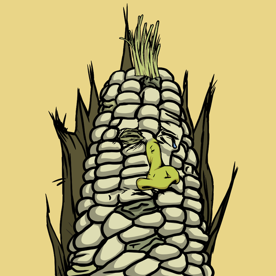 Corn #8911