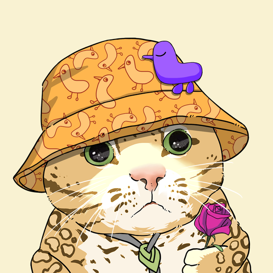 Puzzled cat #3816