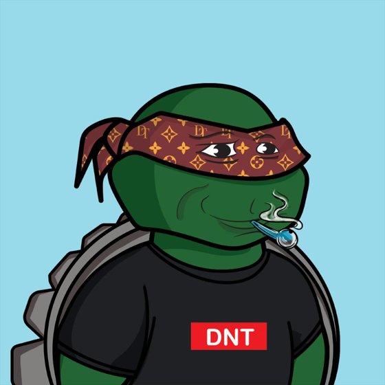 Degen Ninja Turtle #951