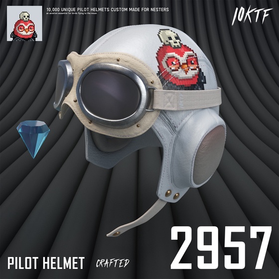 Moonbird Pilot Helmet #2957