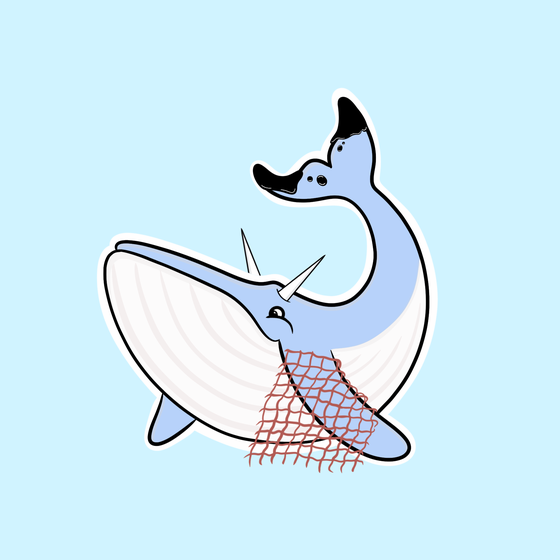 Whaledrop #884