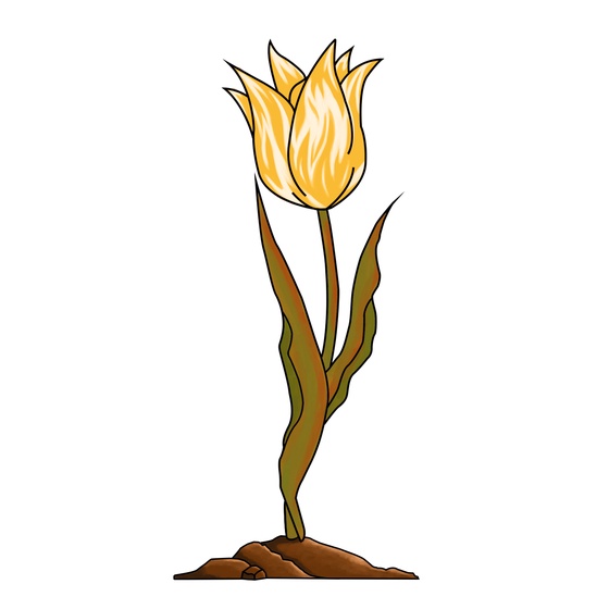 EtherTulip #82