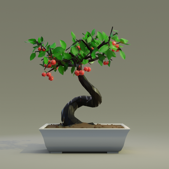 Bonsai #6750