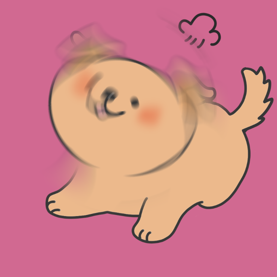 DogDrill#940
