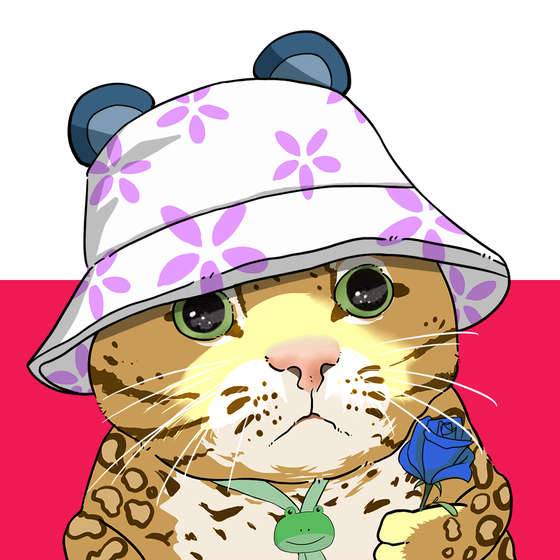 Puzzled cat #8538
