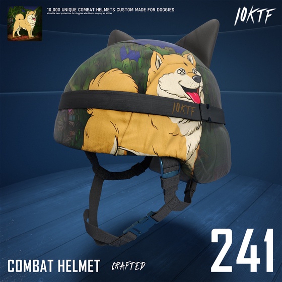 Kennel Combat Helmet #241