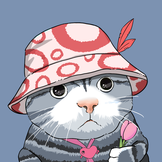 Puzzled cat #3257