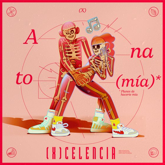 Anatomía #7