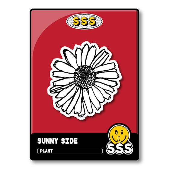 Sunny Side #01