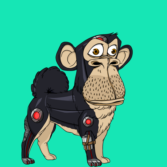 Kennel Ape #771