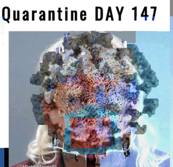 Quarantine DAY 147