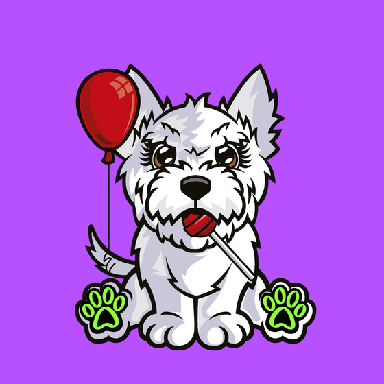 West Highland White Terrier 0596