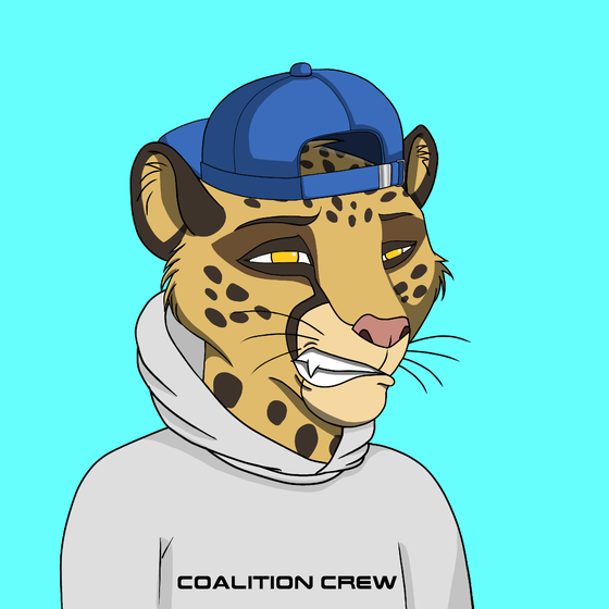 Coalition Crew 2.0 #1007