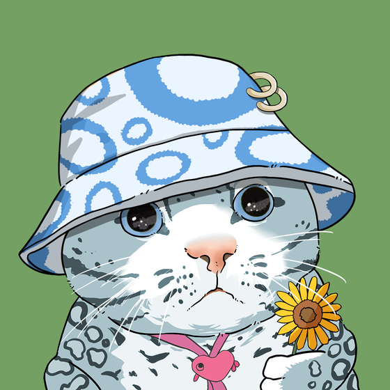 Puzzled cat #1635