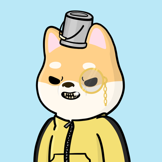 Shibe #4562