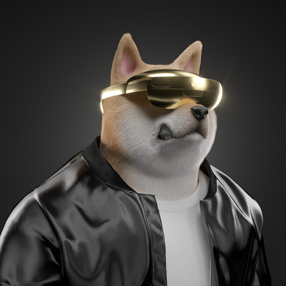 Shiba #6566