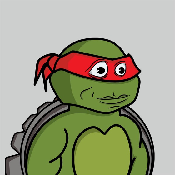 Degen Ninja Turtle #4781