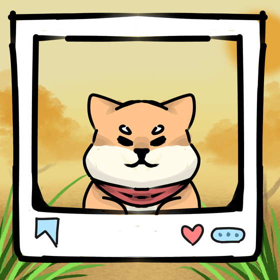 旅する犬 #240
