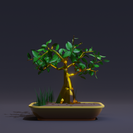 Bonsai #1775