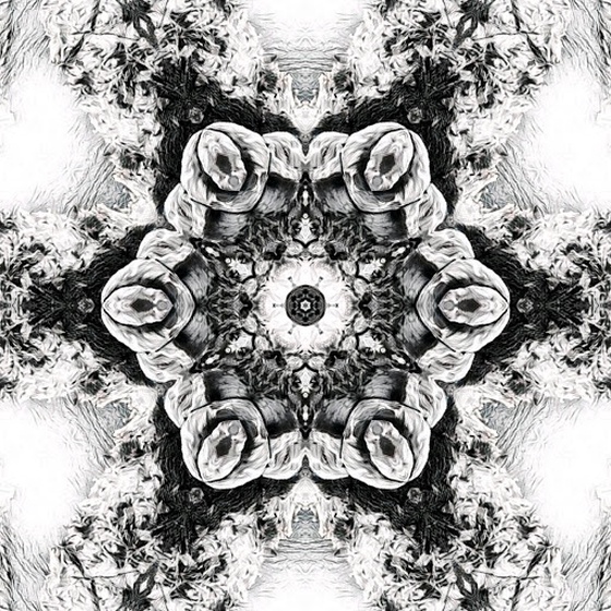 Kaleidoscope