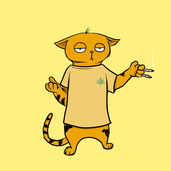 Blazed Cat #3373