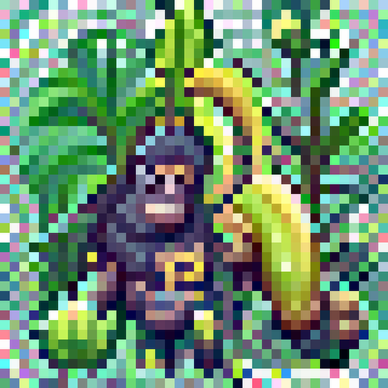 ape jungle  banana