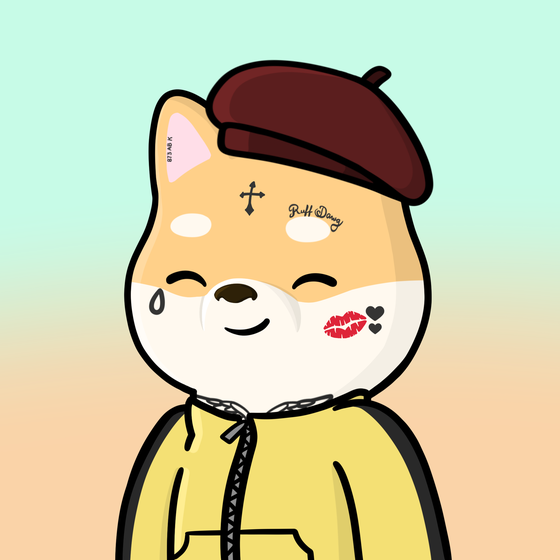 Shibe #37