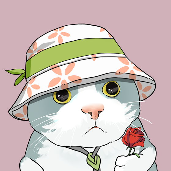 Puzzled cat #5746