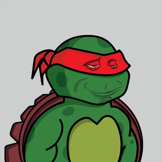 Degen Ninja Turtle #5420