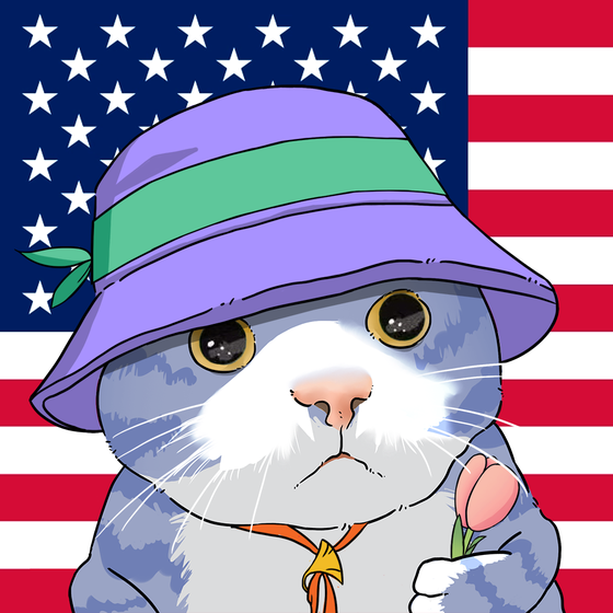Puzzled cat #1680