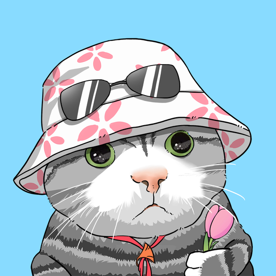 Puzzled cat #7265